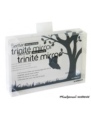 Miroir mémo magnet